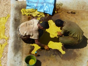 Gelbes Leder am Trocknen