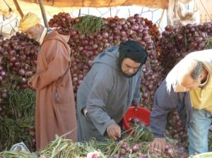 K1024_Männer und Zwiebeln
