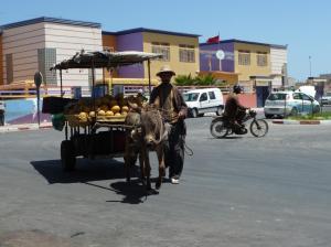 K1024_Obstverkäufer mit Esel