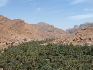 K1024_Palmen und Berge