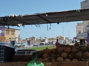 K1024_Paul durch Obstwagen