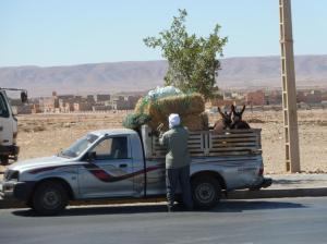 K1024_Pickup fahrbereit