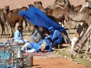 K1024_Sahara-Krämer (2)