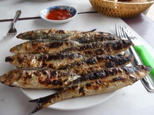 K1024_Sardinenanfang