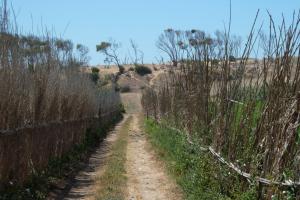 K1024_zu den Dünen (nach Safi)