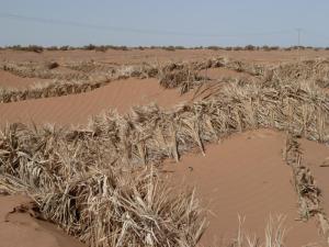 K800_Sandverbauungen