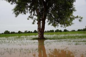 K800_Unter Wasser (2)