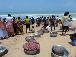 SAMSUNG CAMERA PICTURES