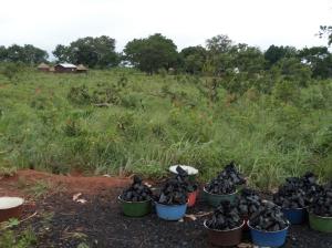 SAMSUNG CAMERA PICTURES