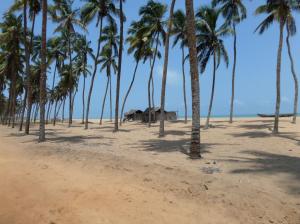 SAMSUNG CAMERA PICTURES