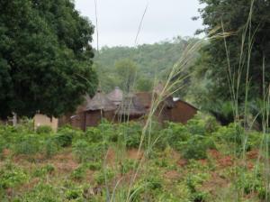 SAMSUNG CAMERA PICTURES