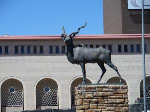 SAMSUNG CAMERA PICTURES