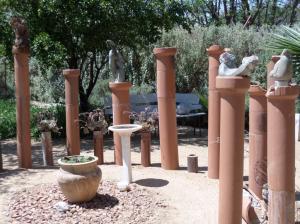 SAMSUNG CAMERA PICTURES