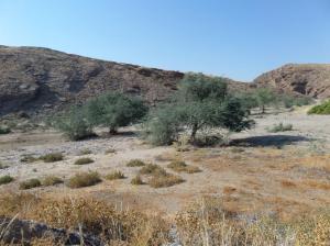 SAMSUNG CAMERA PICTURES