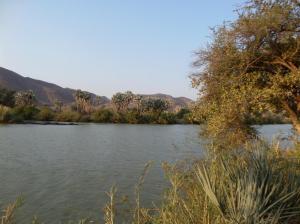 SAMSUNG CAMERA PICTURES