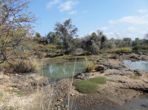 SAMSUNG CAMERA PICTURES