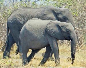 K1024_Mutter und Kind