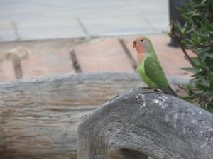 SAMSUNG CAMERA PICTURES