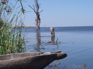 SAMSUNG CAMERA PICTURES