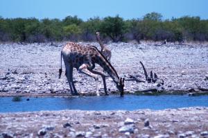 ???????????????????????????????