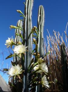 ???????????????????????