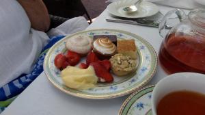 SAMSUNG CAMERA PICTURES