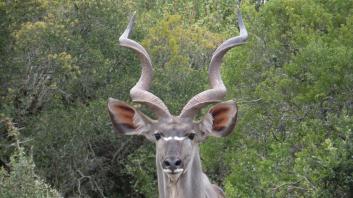 SAMSUNG CAMERA PICTURES