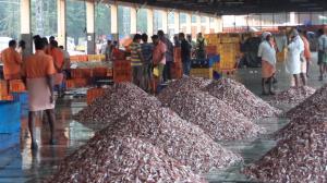 SAMSUNG CAMERA PICTURES