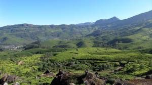 SAMSUNG CAMERA PICTURES