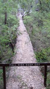 ???????????????????????