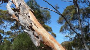 SAMSUNG CAMERA PICTURES